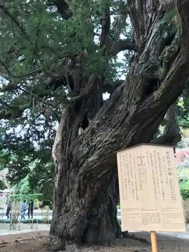 建長寺の自然