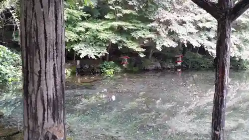 富士山本宮浅間大社(静岡県)