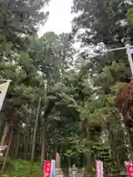 大宮温泉神社のその他建物