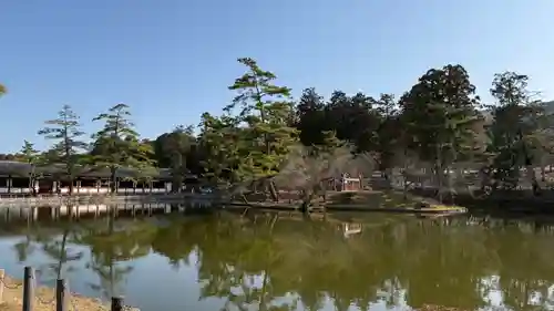 東大寺(奈良県)