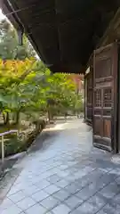 興聖寺(京都府)