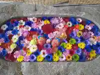 金井神社の手水舎