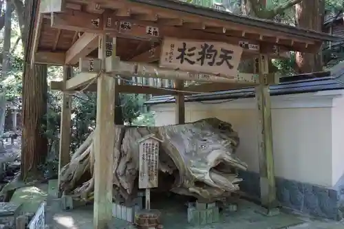 目の霊山　油山寺の自然