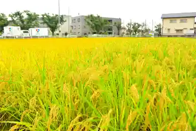 瀧神社(東京都)