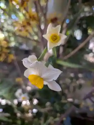 赤坂氷川神社(東京都)