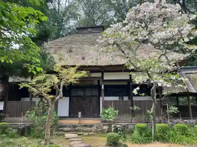 大雄寺(栃木県)