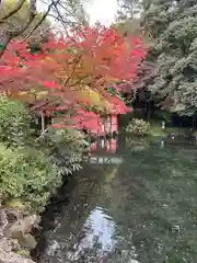 富士山本宮浅間大社(静岡県)