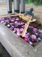 金峯神社の手水