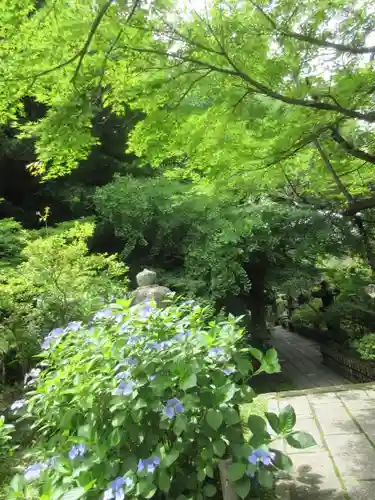 安國論寺（安国論寺）の景色