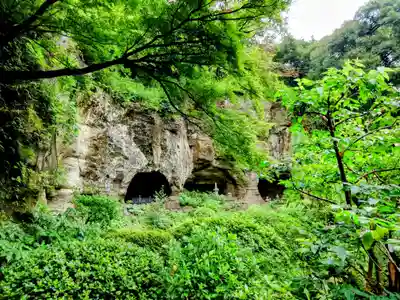 報国寺(神奈川県)