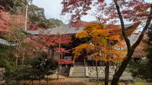 栖賢寺(京都府)