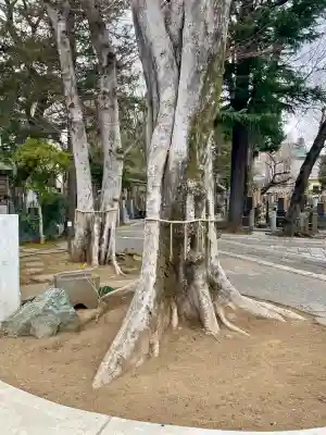 大林寺の{uncategorized: "未分類", other: "その他", undefined: "問題あり", building: "その他建物", grave: "お墓", sacred_gate: "鳥居", guardian: "狛犬", statue: "像", buddha: "仏像", history: "歴史", nature: "自然", garden: "庭園", animal: "動物", pagoda: "塔", temizu: "手水舎", mountain_gate: "山門・神門", sanctuary: "本殿・本堂", subordinate: "末社・摂社", art: "芸術", scenery: "景色", jizo: "地蔵", ema: "絵馬", goshuin: "御朱印", omikuji: "おみくじ", items: "授与品その他", amulet: "お守り", goshuincho: "御朱印帳", eats: "食事", festival: "お祭り", votive_dance: "神楽", shichigosan: "七五三参", wedding: "結婚式", experience: "体験その他", initially: "初詣", around: "周辺", anti_infection: "感染症対策"}