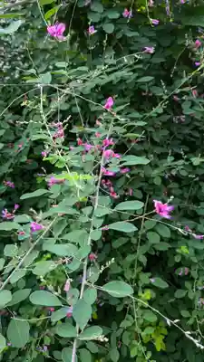 福田寺(京都府)