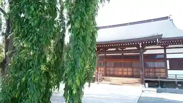 正法院の本殿・本堂