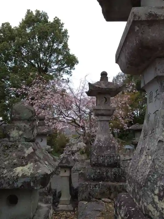 本妙寺(熊本県)