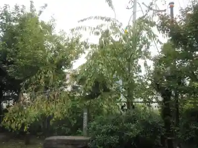 筑土八幡神社(東京都)