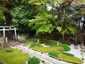 杉本寺(神奈川県)(2026年04月02日(木) 11時19分11秒投稿)