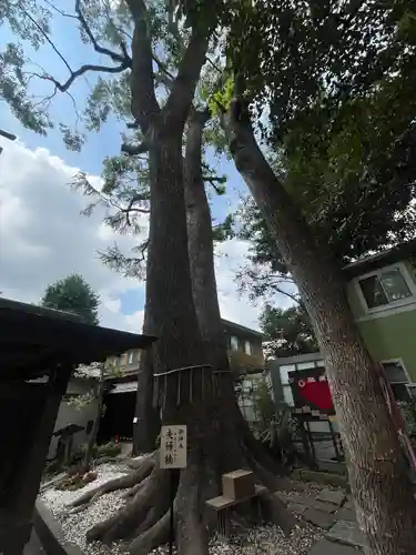 鳩ヶ谷氷川神社(埼玉県)