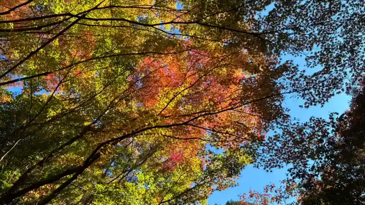 大矢田神社(岐阜県)