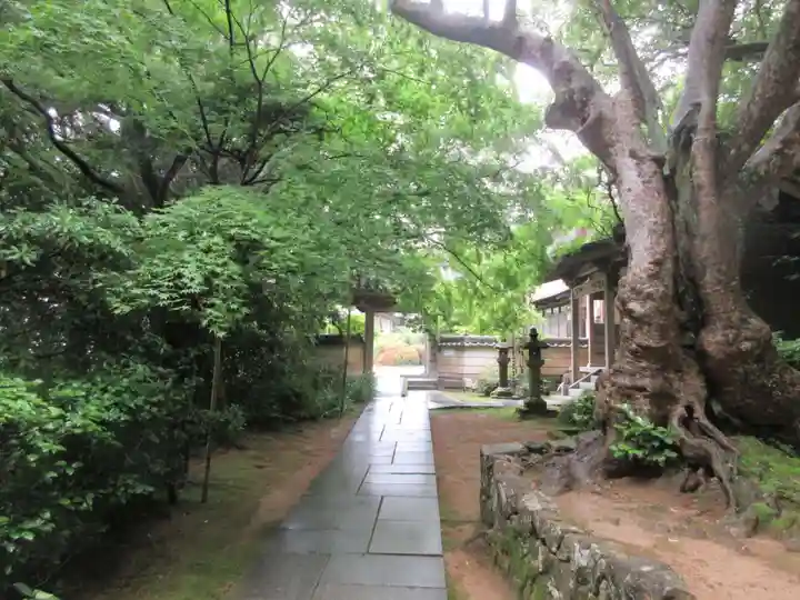 花山院菩提寺(兵庫県)