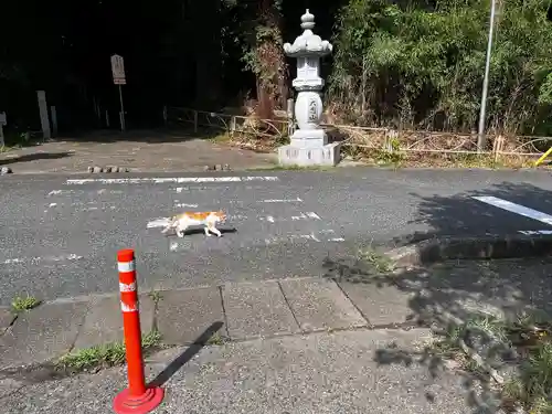 笠森寺(千葉県)