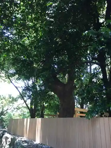 御食神社（豊受大神宮摂社）の自然