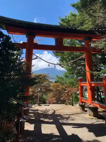 新倉富士浅間神社の鳥居