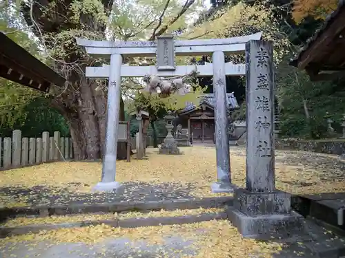 素盞雄神社の鳥居