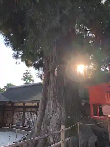 春日大社のその他建物