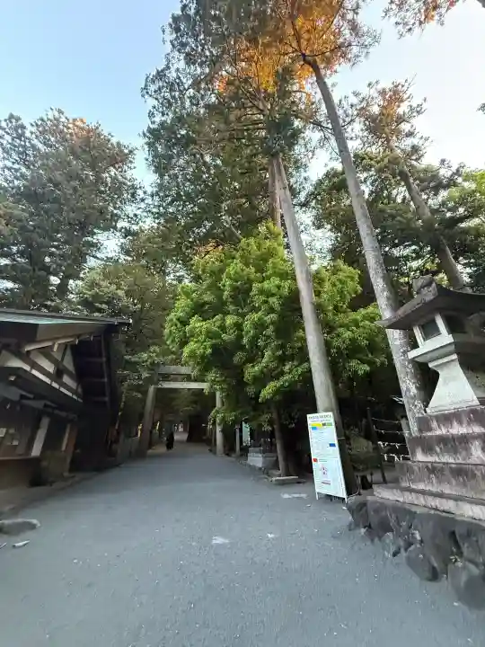 椿大神社(三重県)