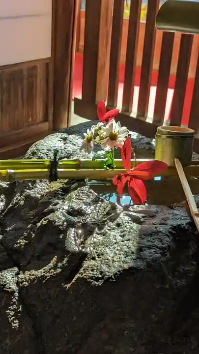 くろ谷 金戒光明寺(京都府)