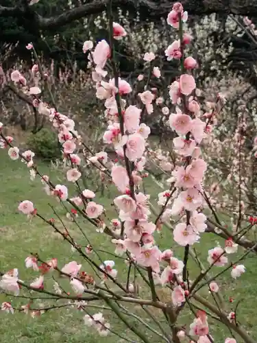師岡熊野神社の御朱印