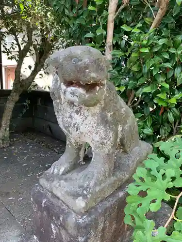 金毘羅神社の狛犬