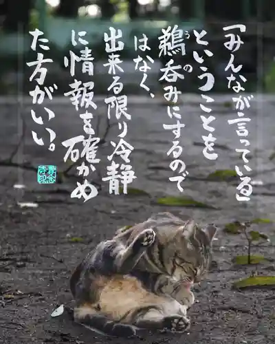 専念寺(大阪府)