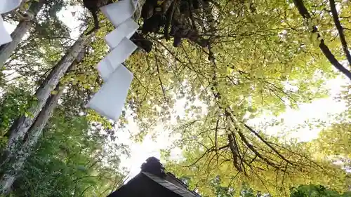 水使神社の自然