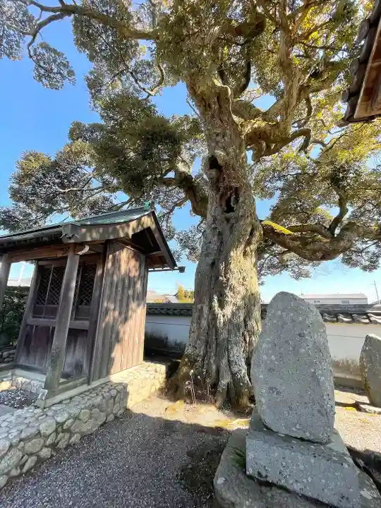 常明寺(滋賀県)