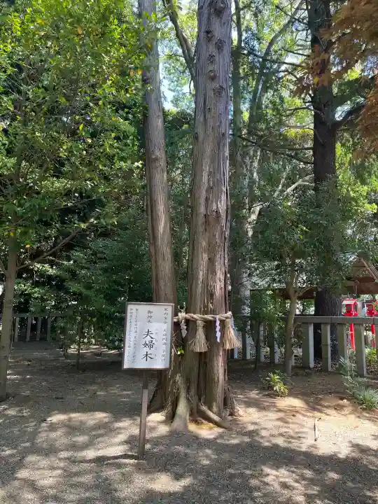 常陸第三宮 吉田神社の{uncategorized: "未分類", other: "その他", undefined: "問題あり", building: "その他建物", grave: "お墓", sacred_gate: "鳥居", guardian: "狛犬", statue: "像", buddha: "仏像", history: "歴史", nature: "自然", garden: "庭園", animal: "動物", pagoda: "塔", temizu: "手水舎", mountain_gate: "山門・神門", sanctuary: "本殿・本堂", subordinate: "末社・摂社", art: "芸術", scenery: "景色", jizo: "地蔵", ema: "絵馬", goshuin: "御朱印", omikuji: "おみくじ", items: "授与品その他", amulet: "お守り", goshuincho: "御朱印帳", eats: "食事", festival: "お祭り", votive_dance: "神楽", shichigosan: "七五三参", wedding: "結婚式", experience: "体験その他", initially: "初詣", around: "周辺", anti_infection: "感染症対策"}