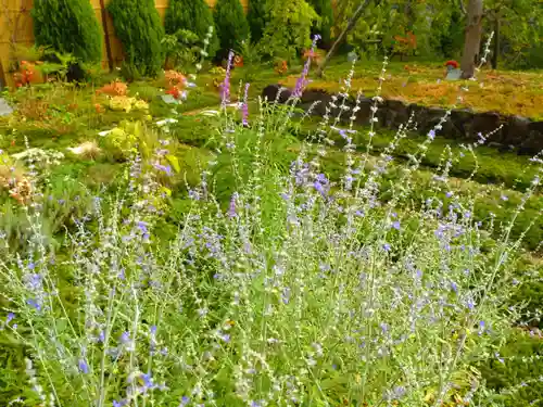 寿量山　速成寺(奈良県)
