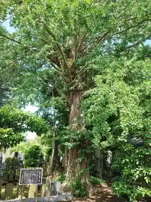 永勝寺のその他建物