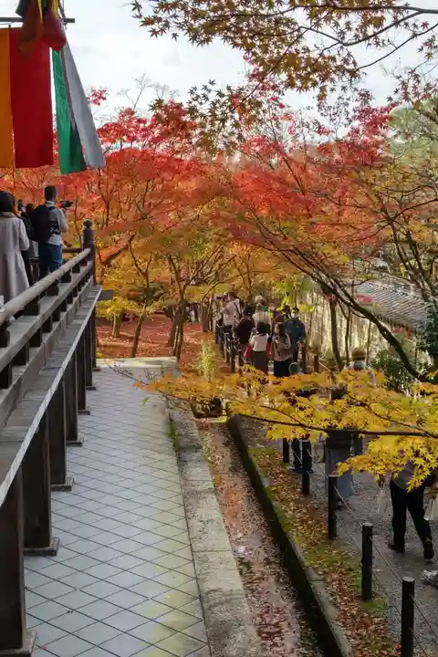 禅林寺(永観堂)(京都府)