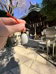 小野照崎神社(東京都)