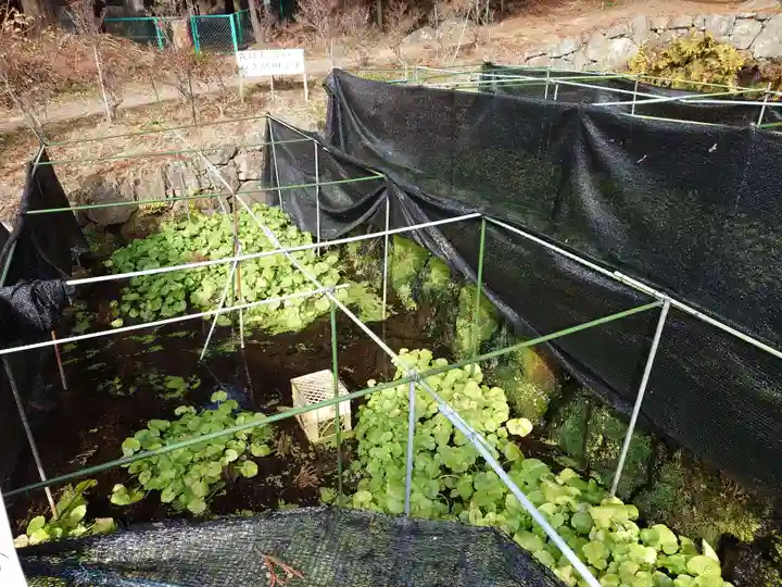 大滝神社(山梨県)