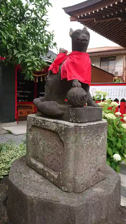 於菊稲荷神社の狛犬