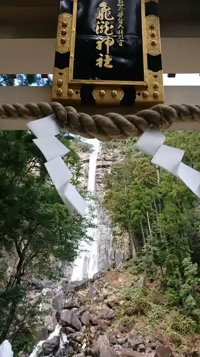 飛瀧神社(熊野那智大社別宮)の自然