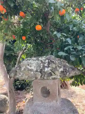 田倉熊野神社の自然