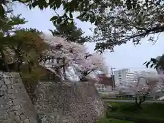 篠山神社(福岡県)