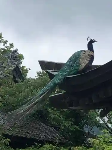 楽法寺（雨引観音）の動物
