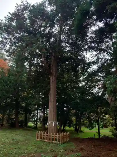 長沼神社(北海道)