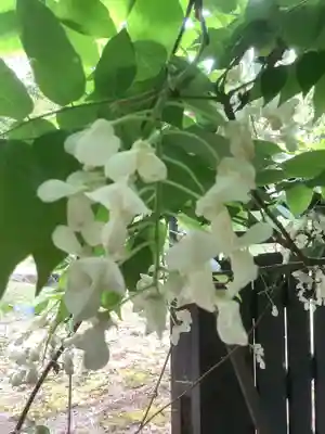 華厳寺(岐阜県)