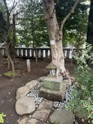 布多天神社の{uncategorized: "未分類", other: "その他", undefined: "問題あり", building: "その他建物", grave: "お墓", sacred_gate: "鳥居", guardian: "狛犬", statue: "像", buddha: "仏像", history: "歴史", nature: "自然", garden: "庭園", animal: "動物", pagoda: "塔", temizu: "手水舎", mountain_gate: "山門・神門", sanctuary: "本殿・本堂", subordinate: "末社・摂社", art: "芸術", scenery: "景色", jizo: "地蔵", ema: "絵馬", goshuin: "御朱印", omikuji: "おみくじ", items: "授与品その他", amulet: "お守り", goshuincho: "御朱印帳", eats: "食事", festival: "お祭り", votive_dance: "神楽", shichigosan: "七五三参", wedding: "結婚式", experience: "体験その他", initially: "初詣", around: "周辺", anti_infection: "感染症対策"}